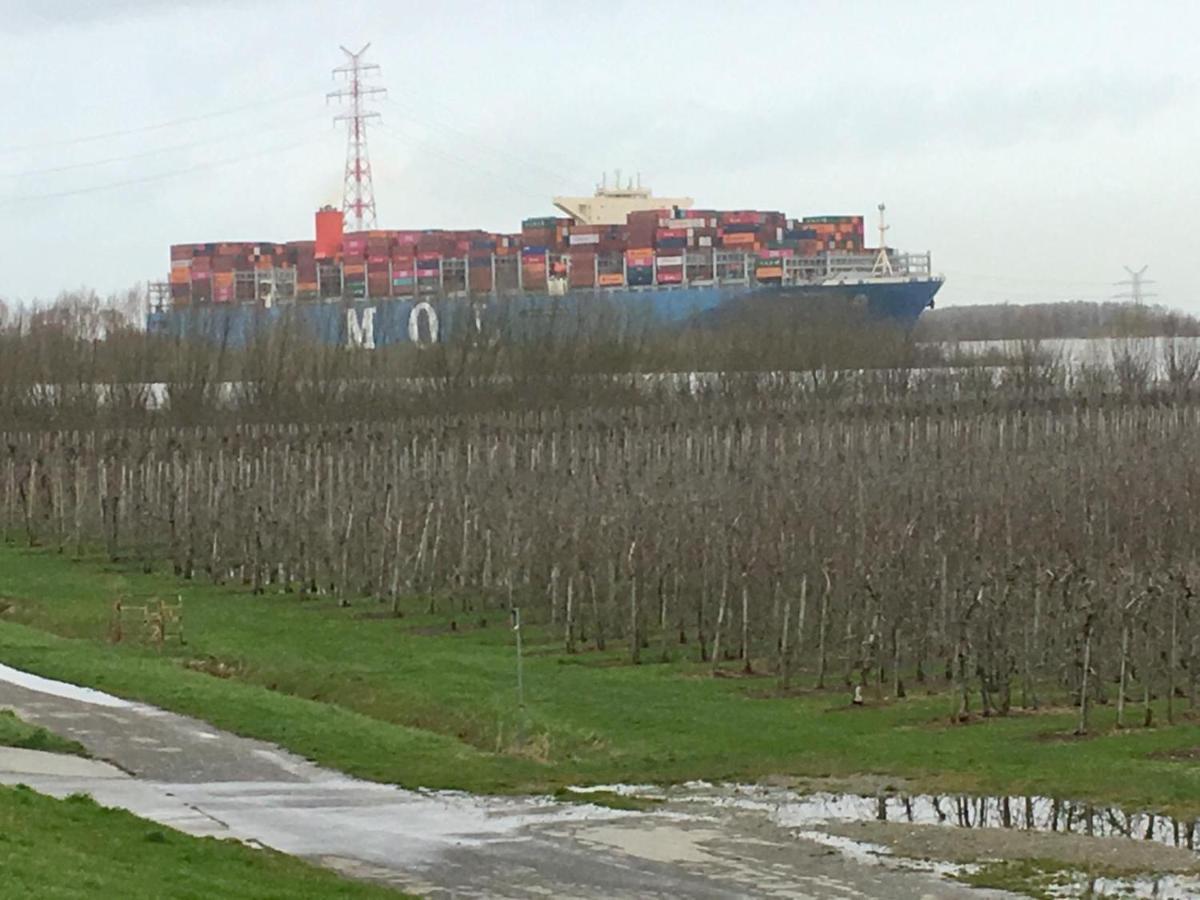 Wohnen Im Alten Land Grünendeich Kültér fotó