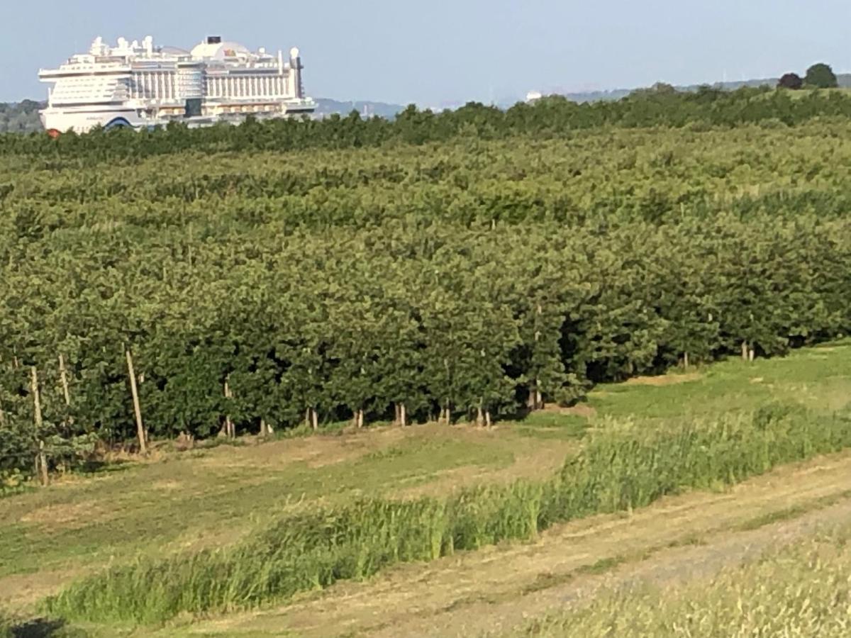 Wohnen Im Alten Land Grünendeich Kültér fotó